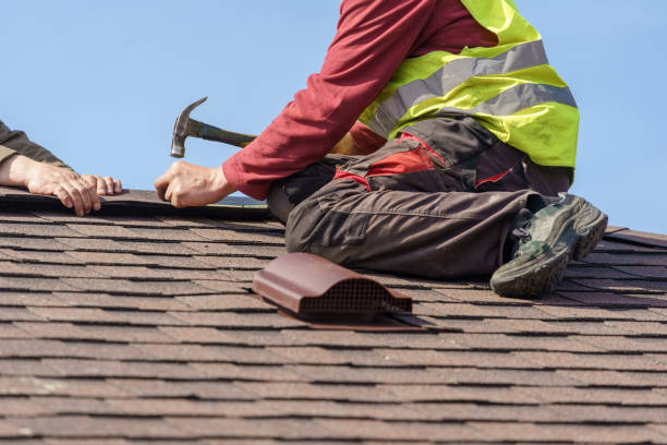 Professional Roofing Contractor in Dogtown, CA