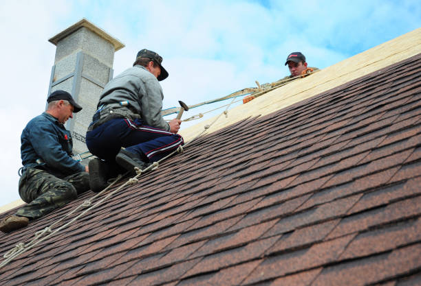 Best Gutter Installation and Roofing  in Dogtown, CA